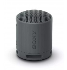Sony SRS-XB100 Portable Speaker