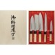 SATAKE -nugade komplekt, 5 tk