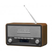 Denver DAB-18 Personal Analog & digital Black, Grey