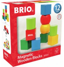 BRIO 30435 - Magnetic Blocks