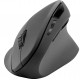 Speedlink SL-630019-RRBK Ergonomic Vertical Wireless Mouse