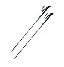 Expert Poles carbon-blue VOLVEN