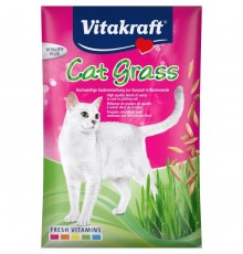 VITAKRAFT Cat Grass - grass seeds - 50 g