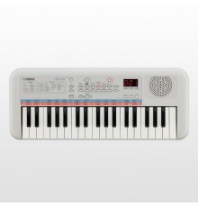 Produkto nuotrauka