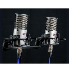 Aston Microphones Origin Stereo Pair Condenser