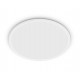 Philips Valen Ceiling Light 32W