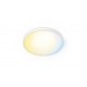 Philips Valen Ceiling Light 32W