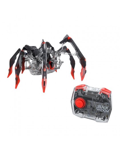 TOY INTERACTIVE BLACK WINDOW 6071524