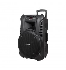 Active loudspeaker (with 2 wireless microphones, SD, Bluetooth, USB) 15" 120W