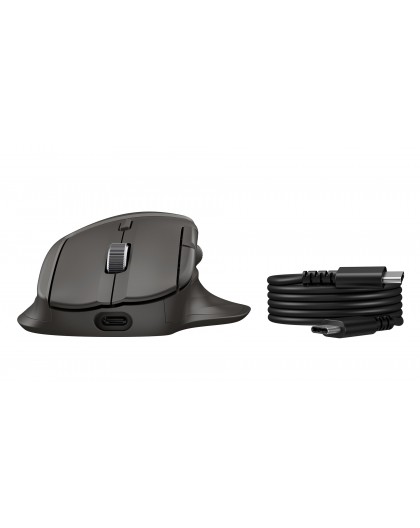 HP Ultra-Fast-Scroll Wireless Mouse 780M