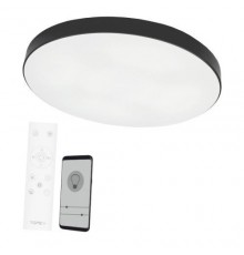 Ceiling lamp Boston 2x48W D60RC LED black