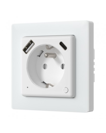 Smart Outlet Avatto WOT20-FR