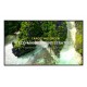 DISPLAY LCD 75" 4K/75UL3Q-E LG