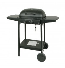 Master gas grill 2-burner MG672