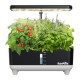 RainPoint Hydroponic Growing Kit