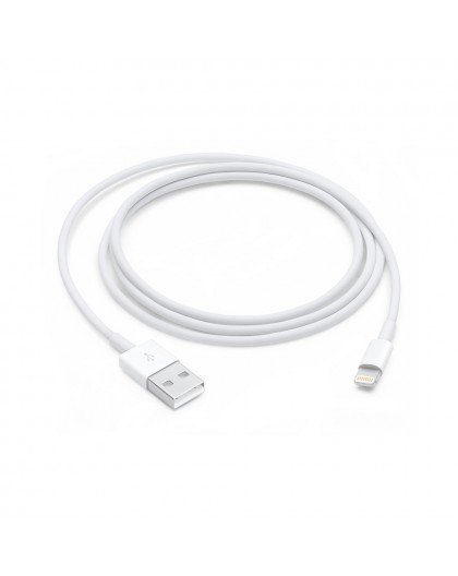 Apple Lightning to USB Cable (1В m)