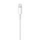 Apple Lightning to USB Cable (1В m)