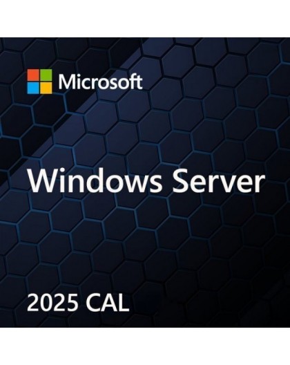 Microsoft Windows Server CAL 2022 Client Access License (CAL) 1 license(s)