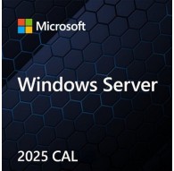 Microsoft Windows Server CAL 2022 Client Access License (CAL) 1 license(s)