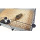 C&C Modular cage 4x2 145 x 75 cm black