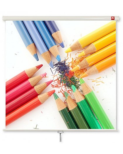 Avtek Wall Standard 200 projection screen 1:1