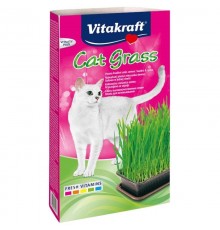 VITAKRAFT Cat Grass - Kit for cats - 120
